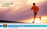 L-リジン(L-Lysine) 1000mg 250錠 3ボトル Source Naturals （ソースナチュラルズ）
