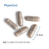 アレルギーリサーチグループ Allergy Research Group PhytoCort(フイトコート）120ベジタリアンカプセル